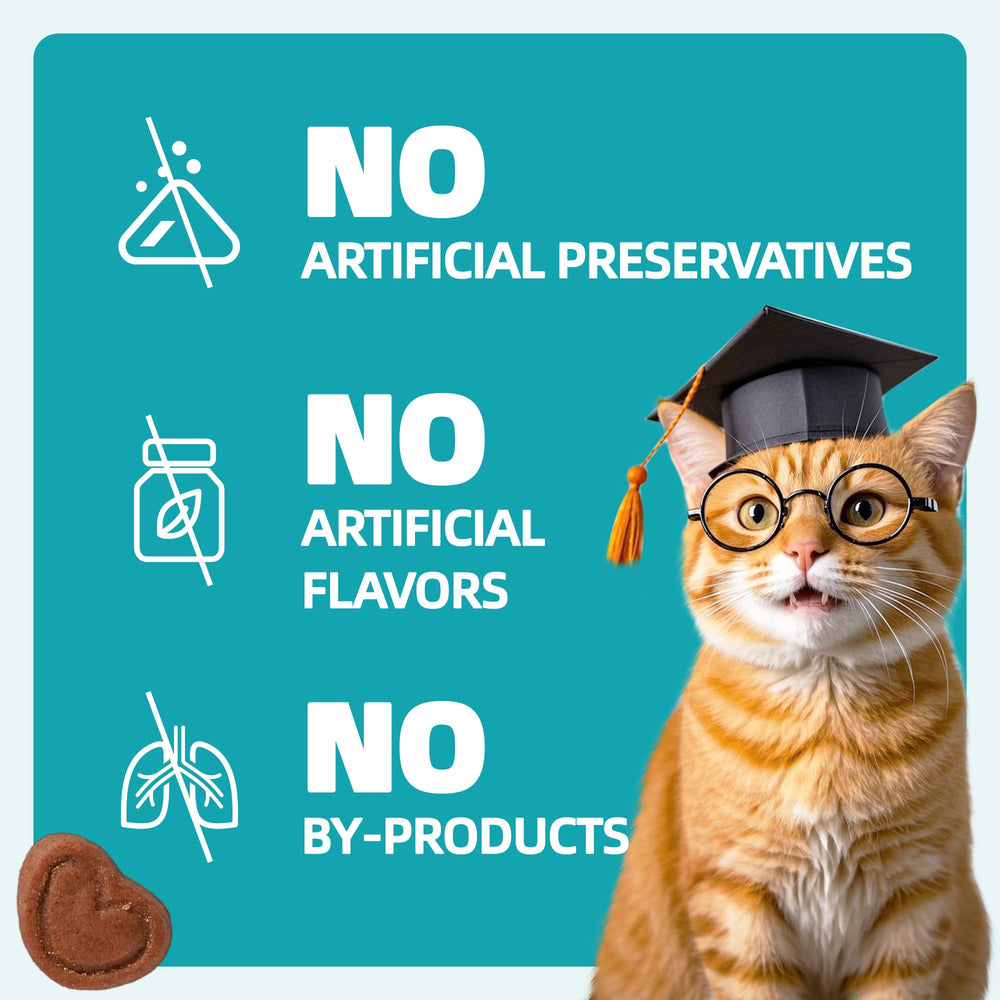 Wellix cranberries-dandelion-ingredients image communicates natural ingredients supporting overall wellness.