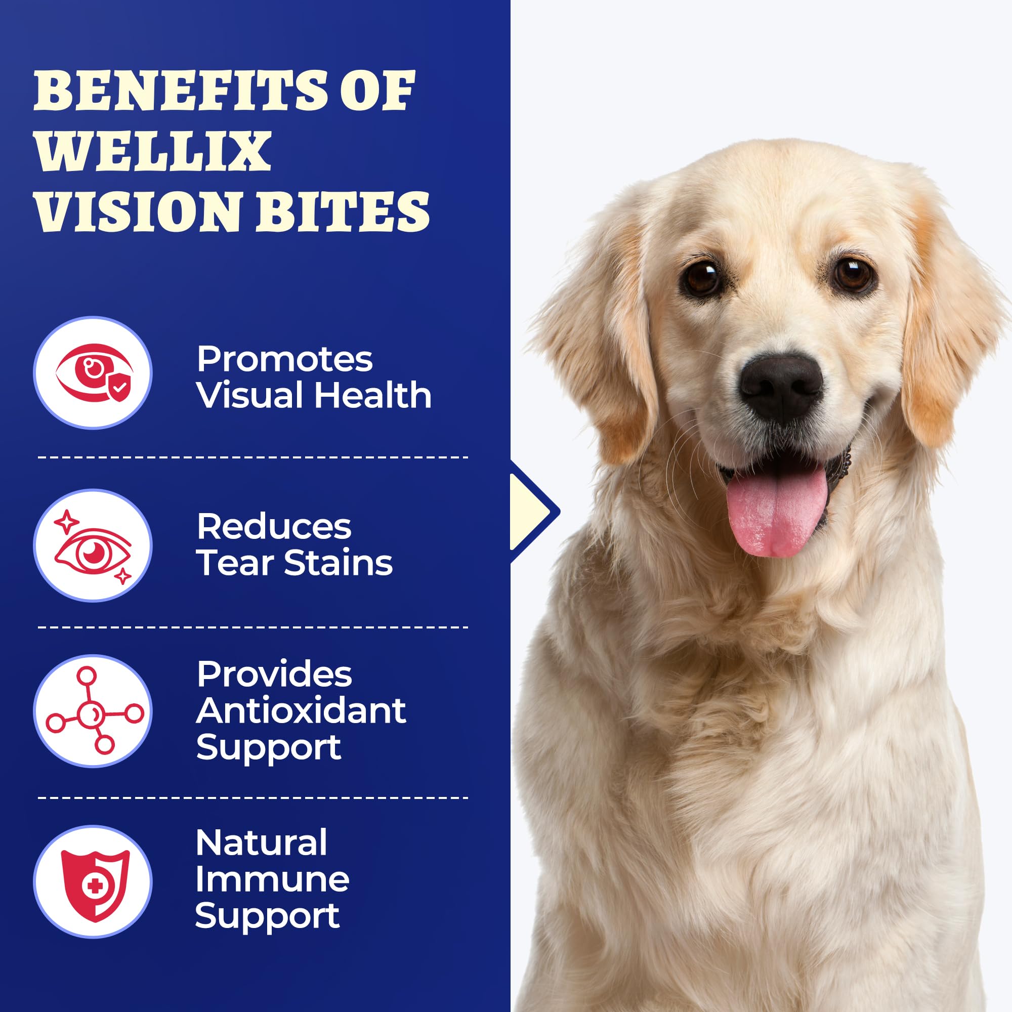 Wellix cranberry-taurine dog eyes image emphasizes immune support and reduced irritation potential