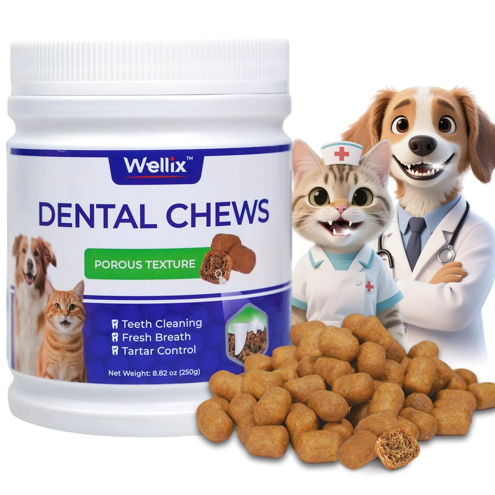 Wellix dental treats showing crunchy texture that aids gentle teeth cleaning during chewing.