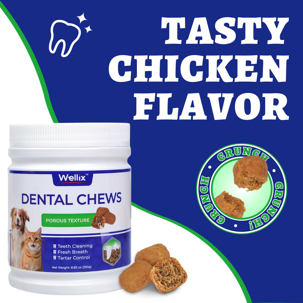 Wellix dental treats sized for small pets, fitting cats and small dogs for easy care.