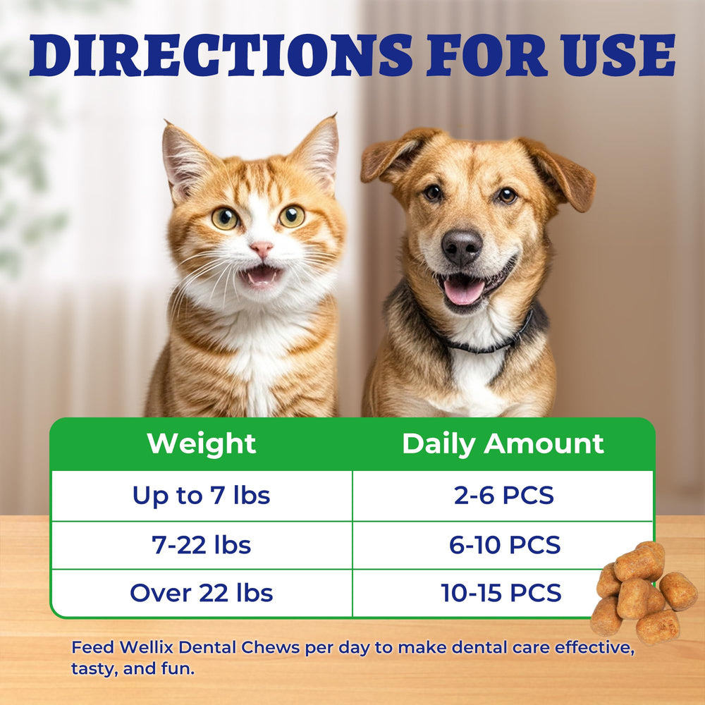 Wellix dental treats shown as training rewards to encourage consistent chewing behavior.