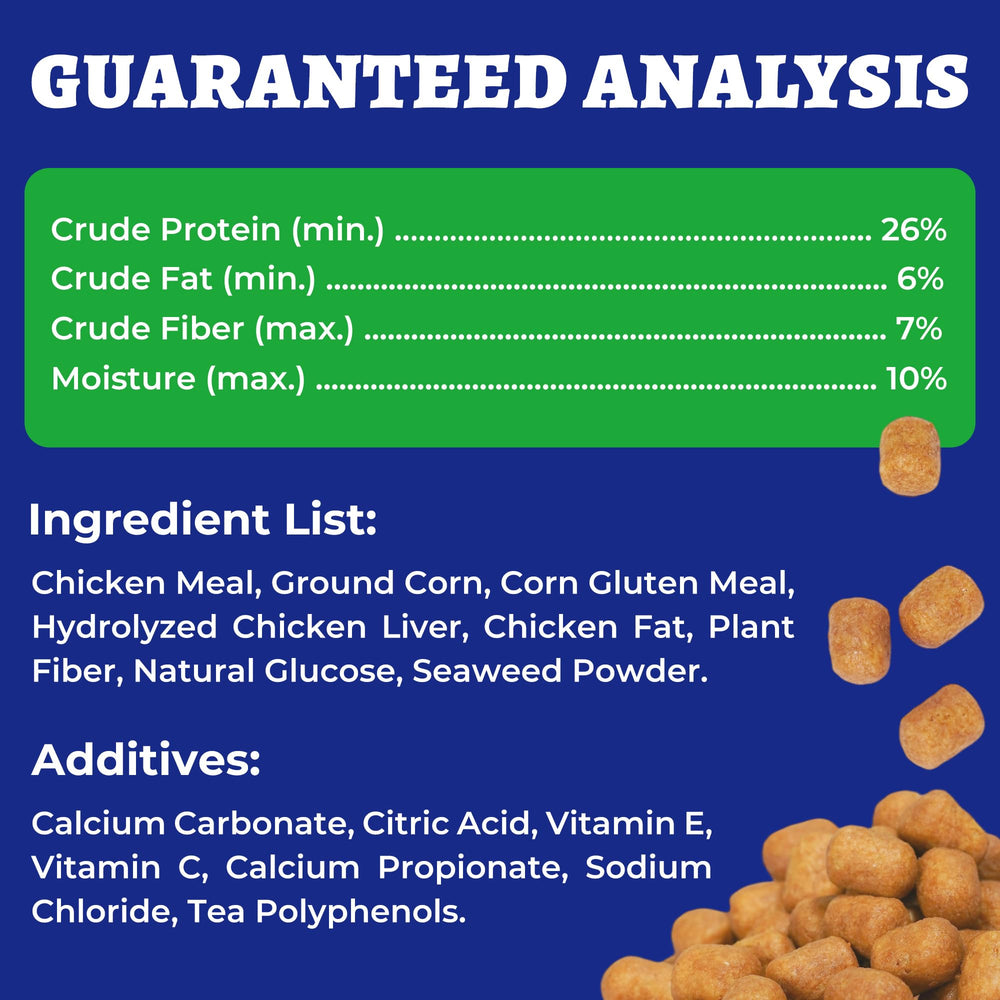  Wellix 8-82oz-pack shown for everyday dental care and long-term use.