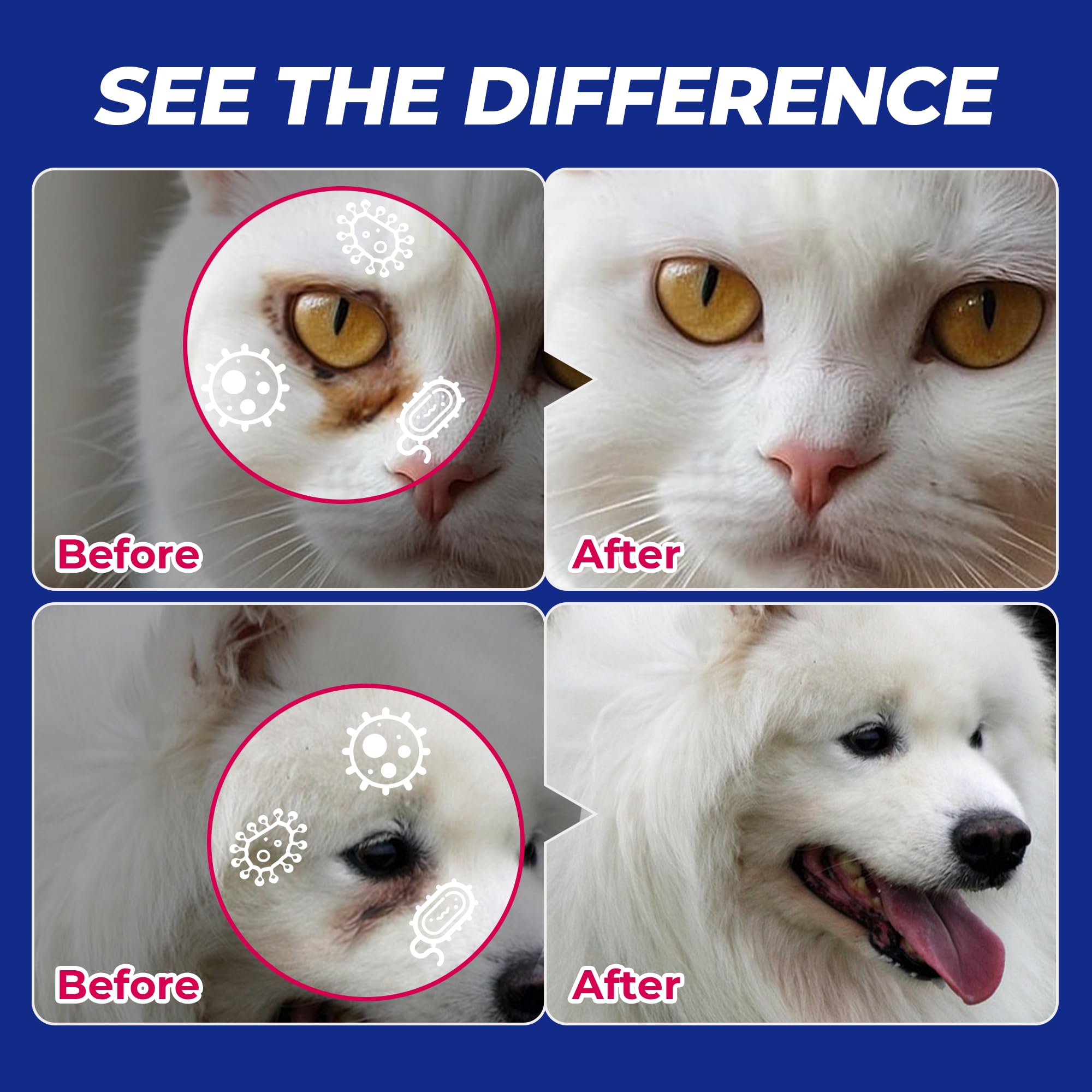 Wellix trusted by professionals, safe for daily use on dogs and cats.