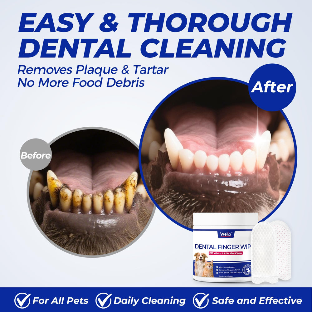 Wellix dog teeth wipes texture closeup reveals dual-textured surface for effective cleaning