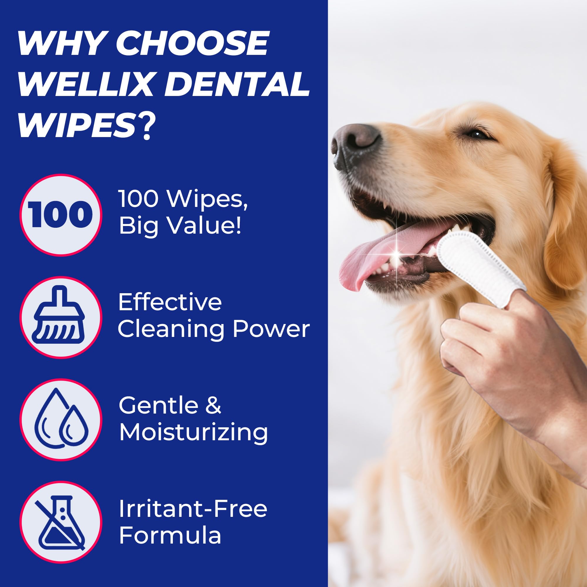 Wellix dog teeth wipes vet-approved badge signals trusted daily dental care