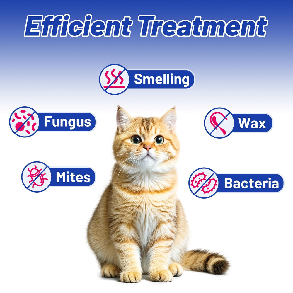Wellix ear cleaner on a cat's ear during a calm routine to reduce odor.