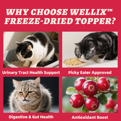 Wellix freeze-dried egg yolk chicken flavor image highlighting digestive support