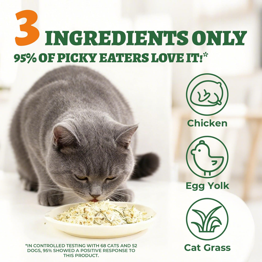 Wellix ingredientes naturales pollo yema hierba de gato, sabor sabroso y natural.