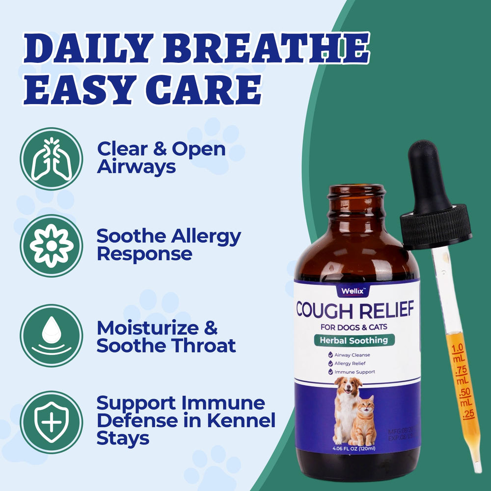 Wellix dispensing spoon shows simple mixing into pet meals.