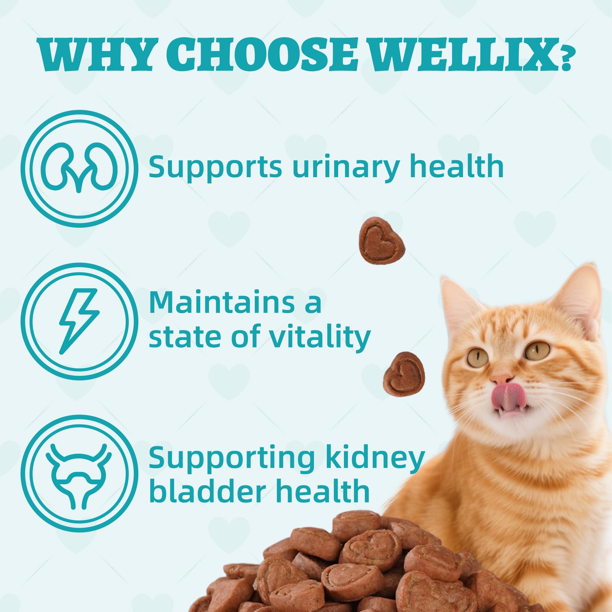 Wellix kidney-bladder-support-dandelion image highlights herbal help for urinary comfort feel.