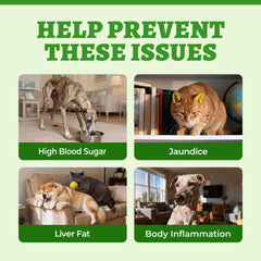 Wellix large 8.8oz pack ready for multi-pet households lasting up to eighty days