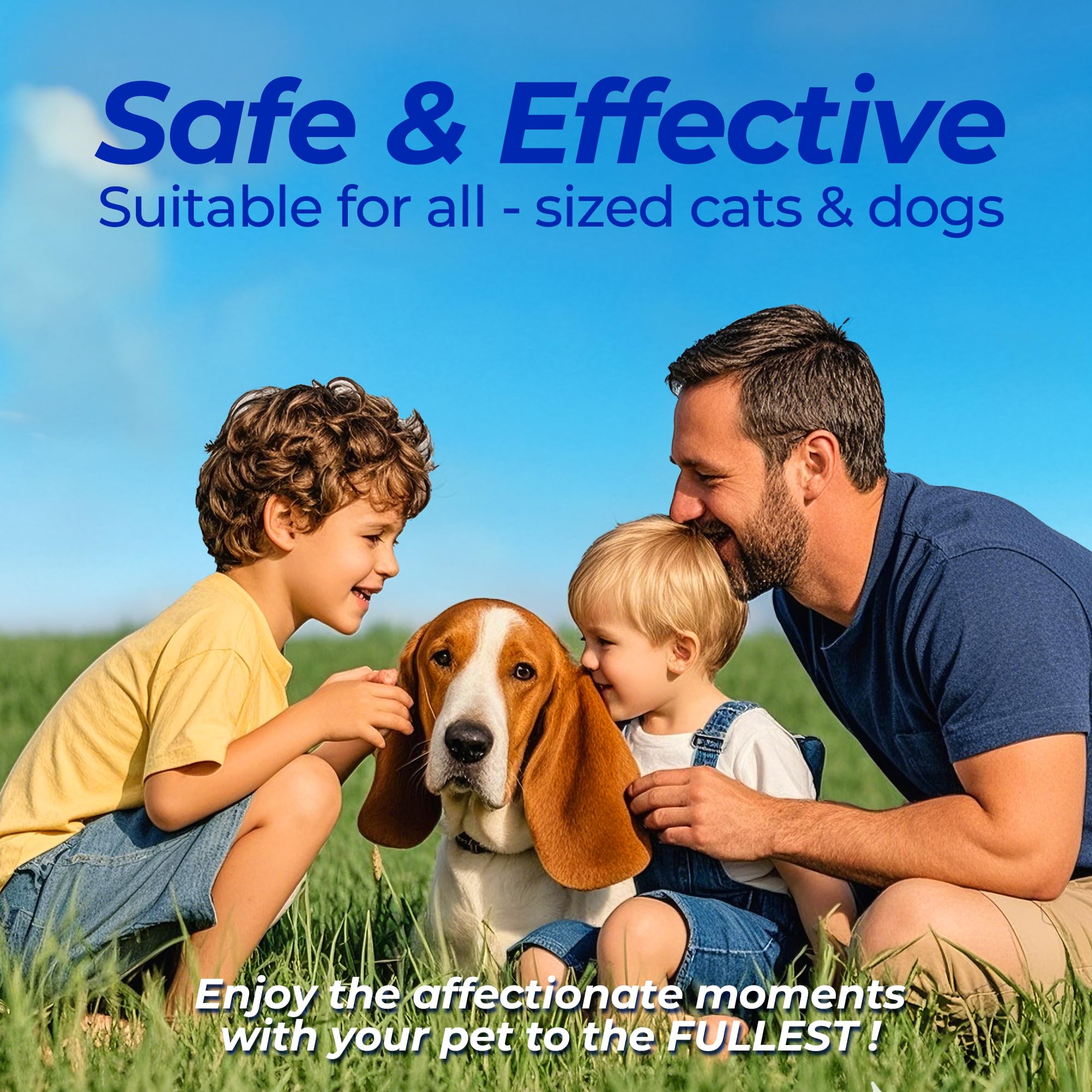 Wellix in-use cat image demonstrates versatile ear care for adult felines