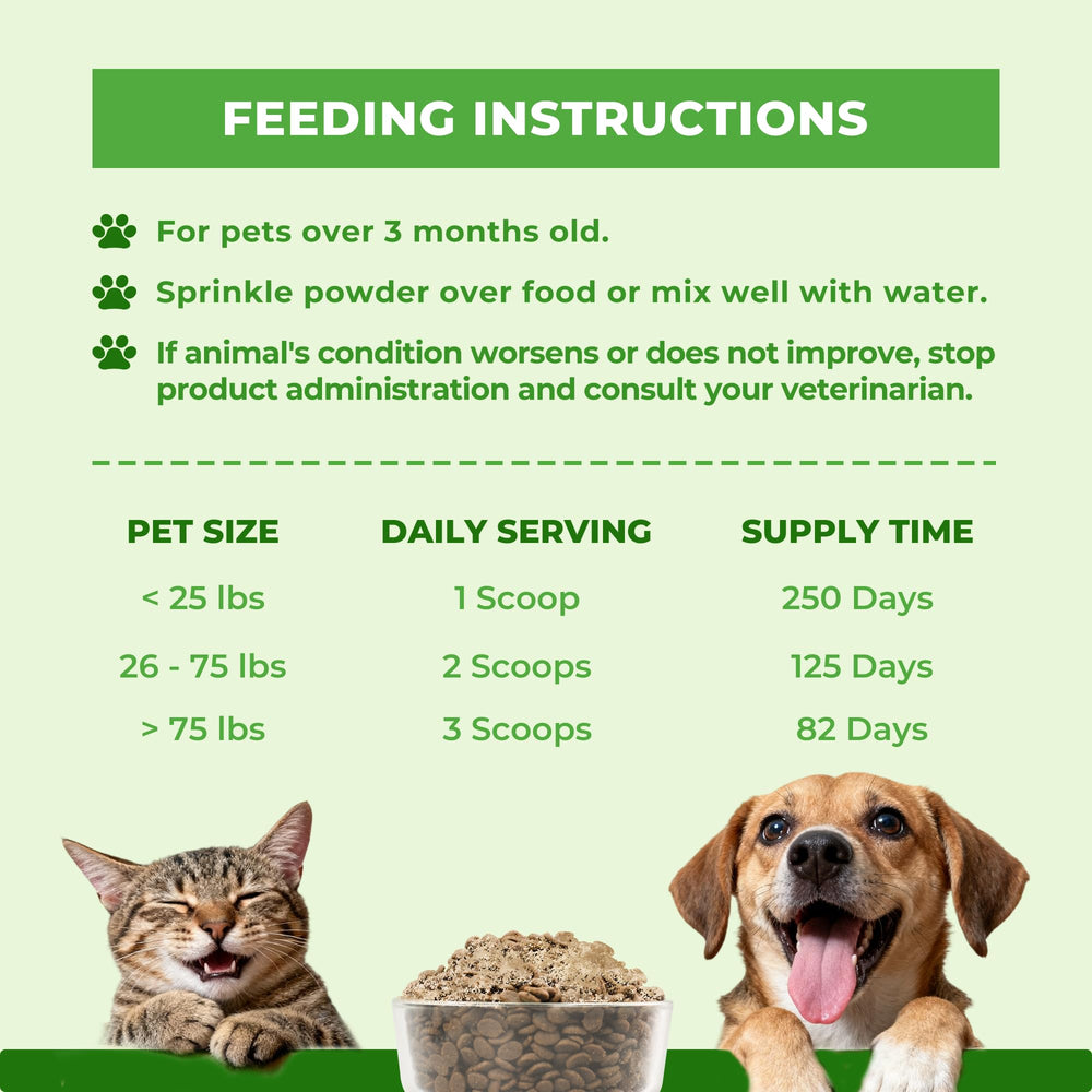 Wellix milk thistle over pet food dish showcasing tasty supplement integration
