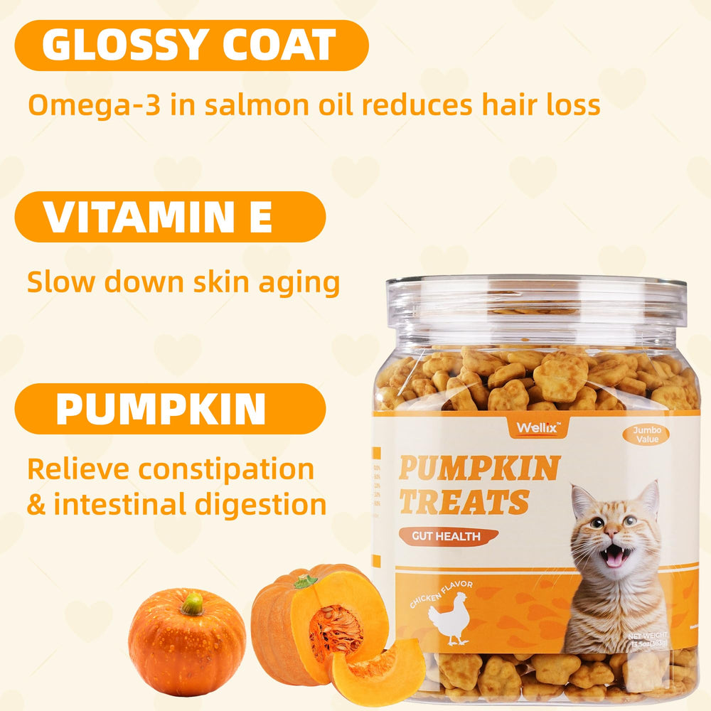 Wellix pumpkin cat treats jar stay-fresh packaging highlights bulk value for multi-cat households.