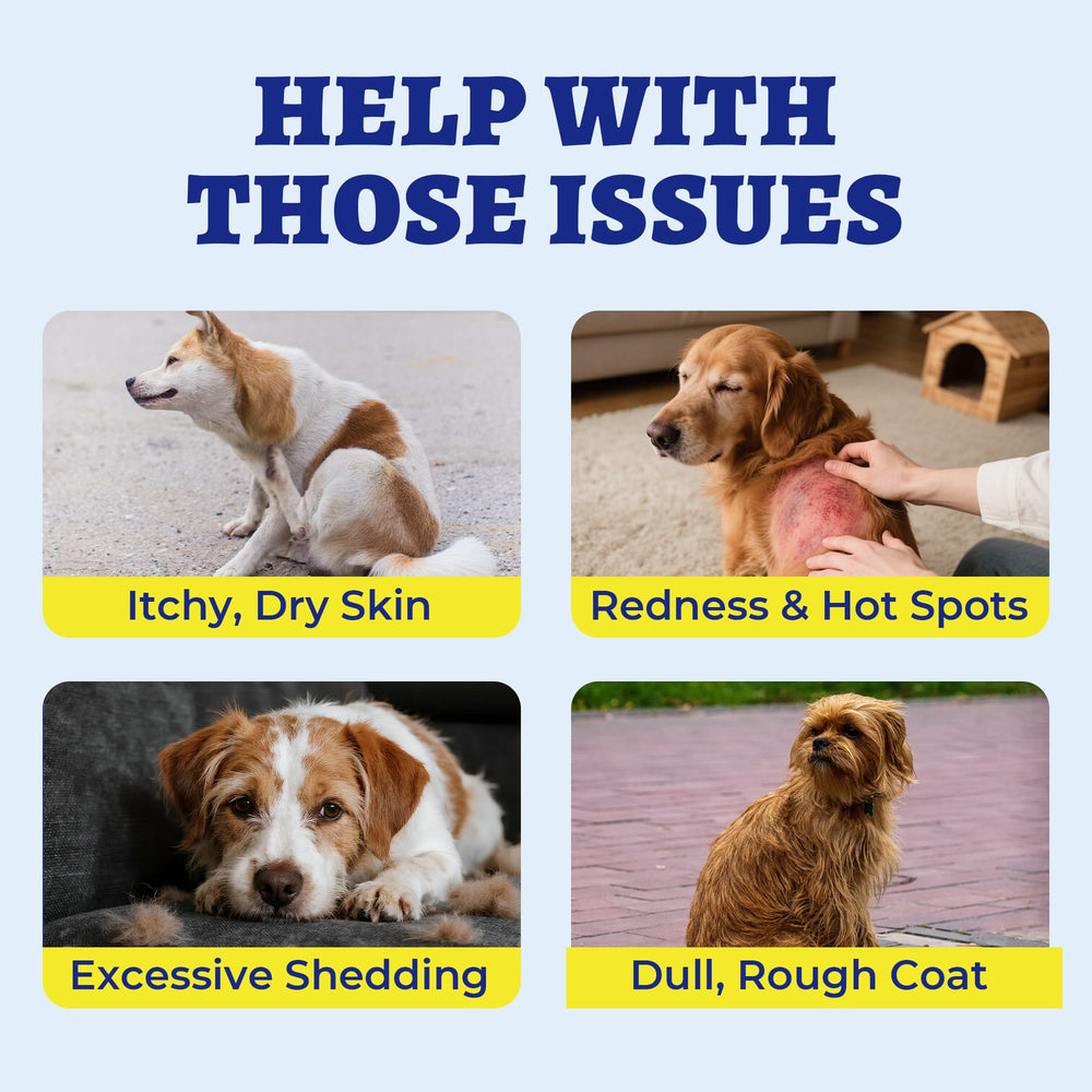 Wellix salmon-oil-omega-3 for dogs emphasizes premium coat nutrition.