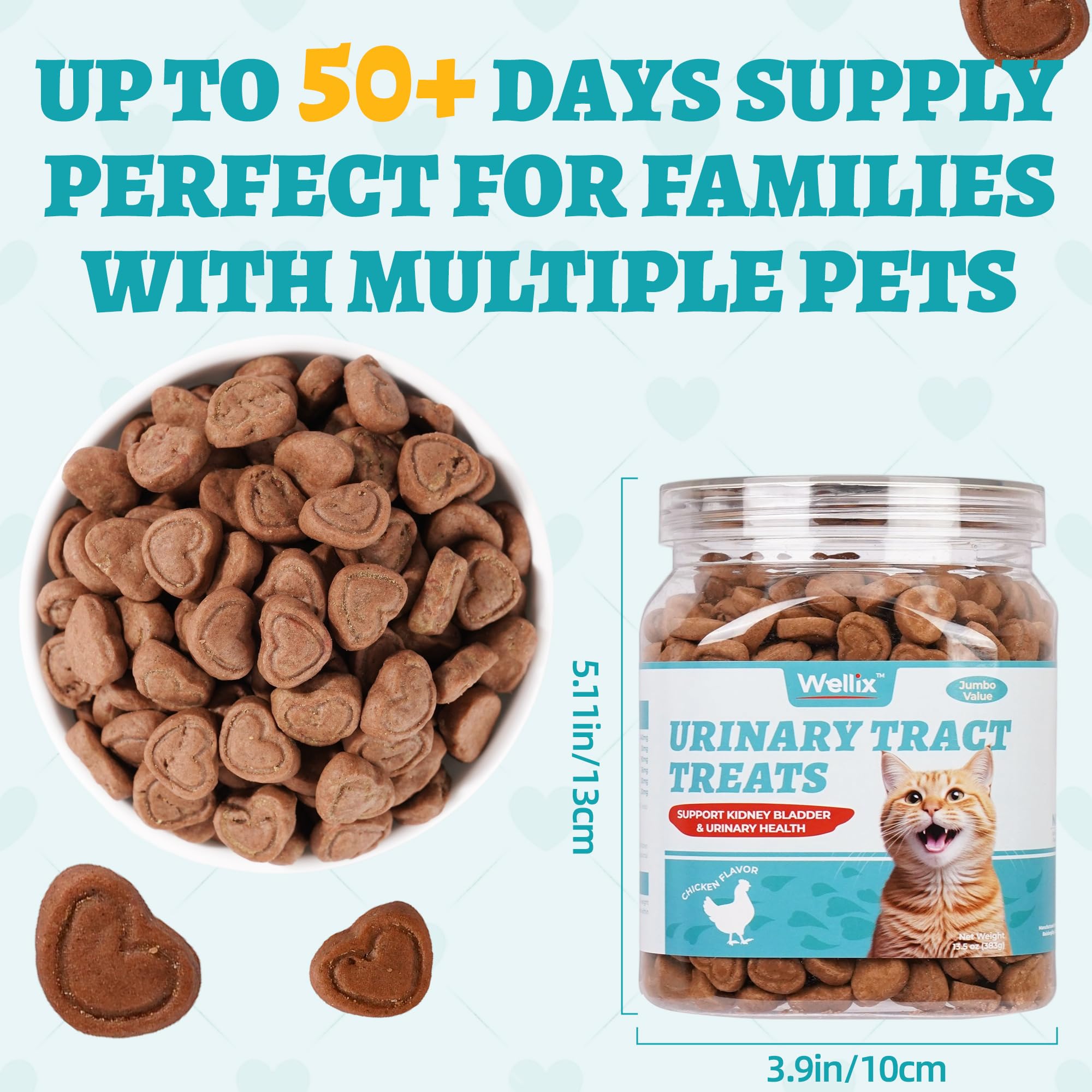 Wellix-serving-bowl-cat-treats image captures convenient serving and on-the-go snacking.