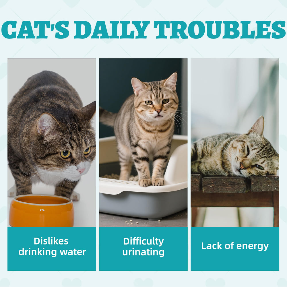 Wellix urinary-health ingredients-cranberries-cherries image emphasizes antioxidant-rich flavors for daily pampering.