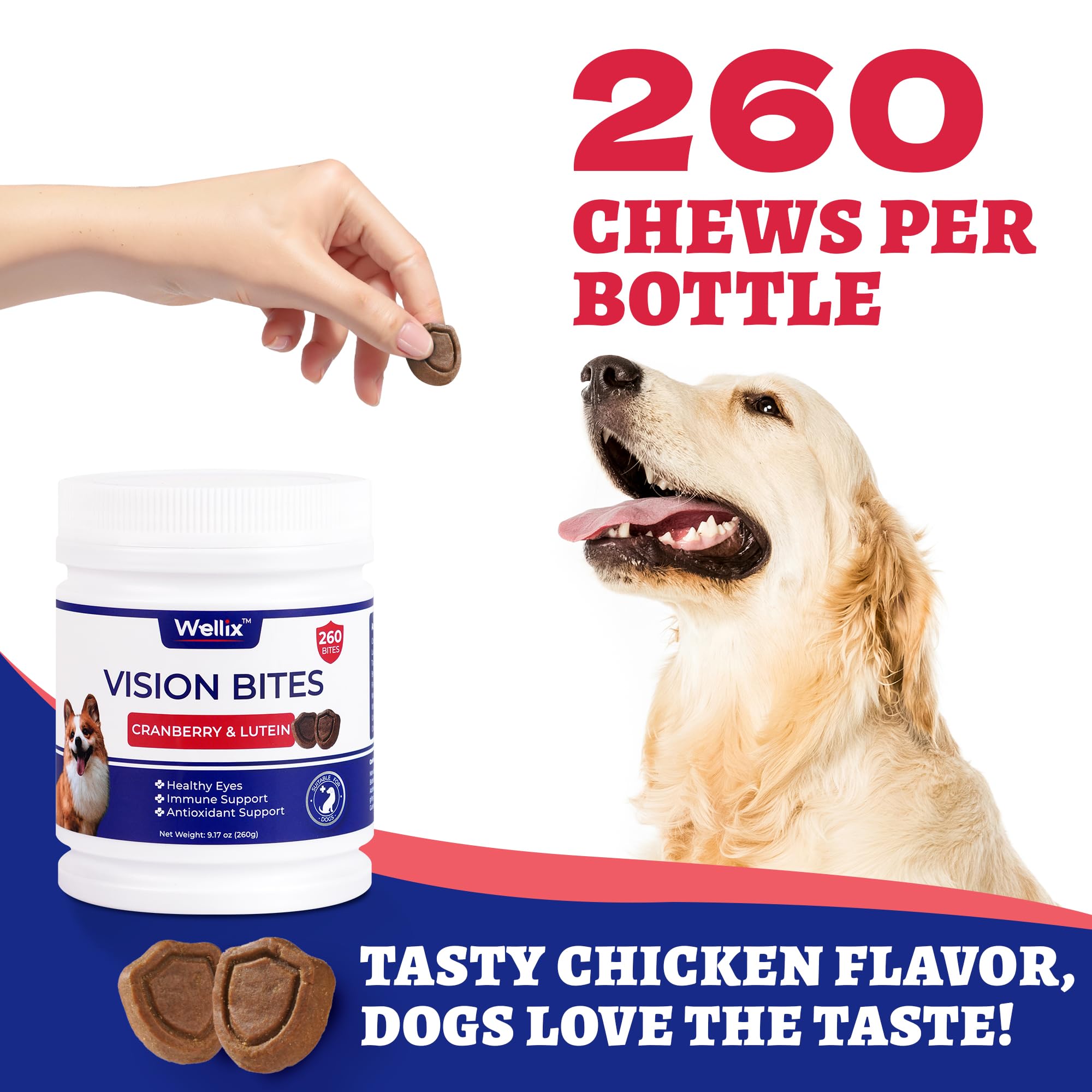 Wellix vision chews chicken flavor close-up enhances palatable eye care for daily dosing