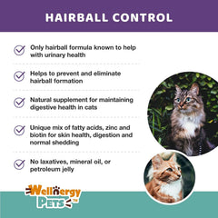 Cat enjoying Wellnergy Pets hairball chew as a tasty daily aid