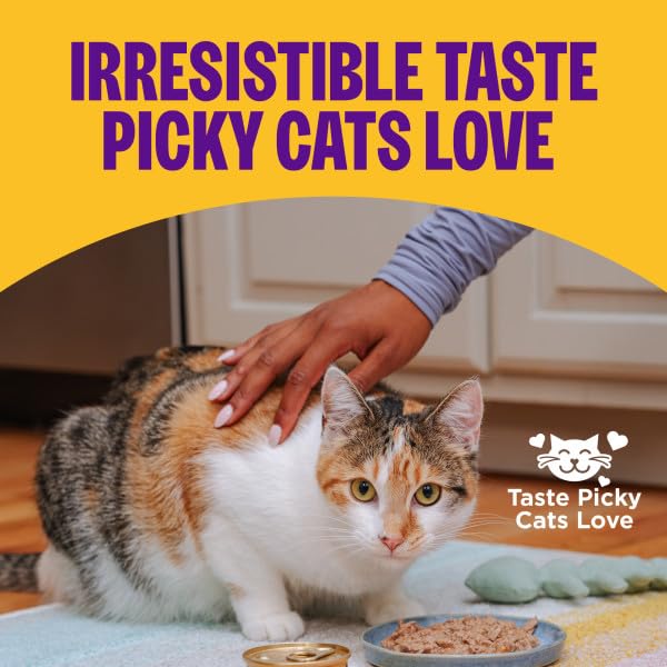 Wellness cat eating pâté in bowl highlighting convenient open-can serving.