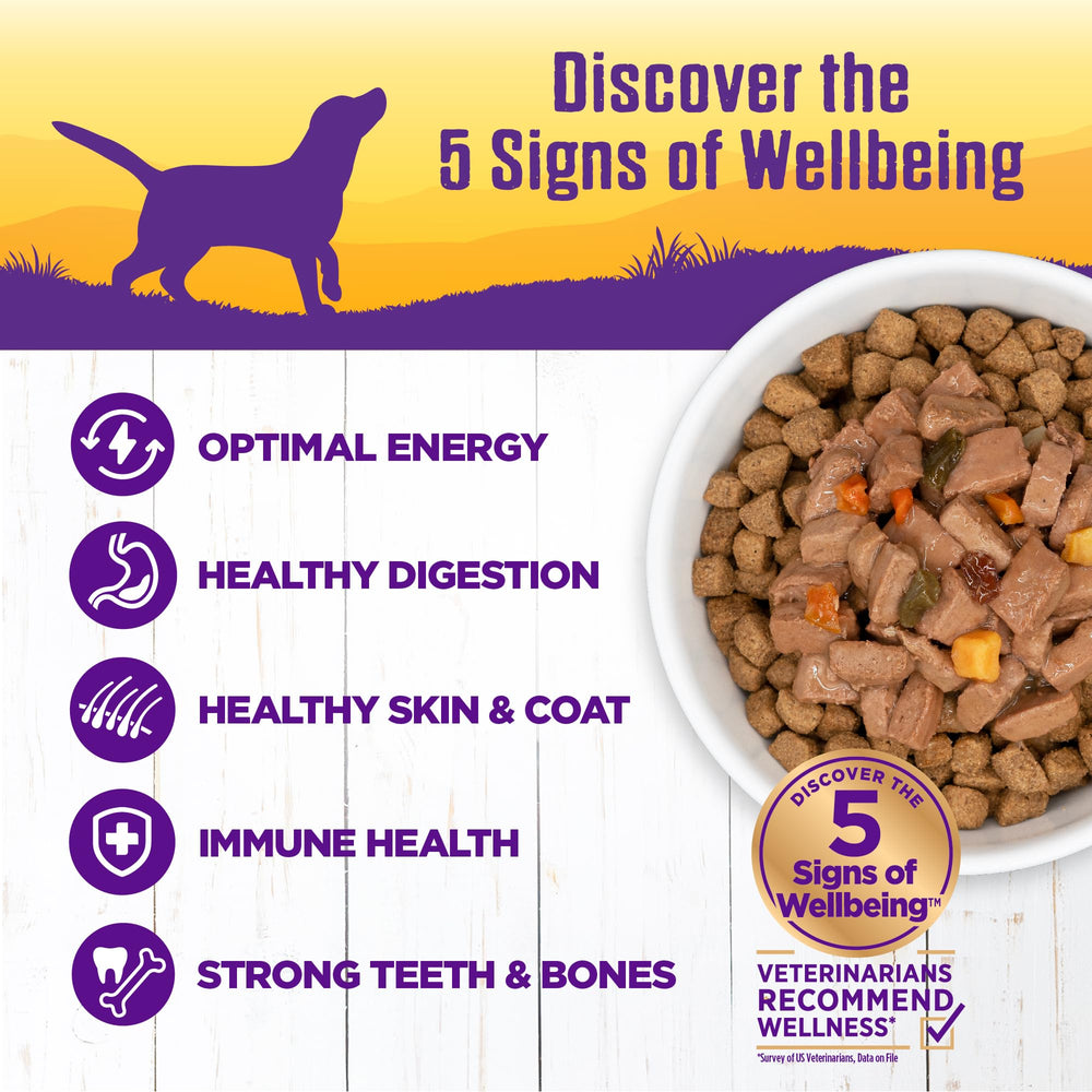Wellness Complete Health chunky meat and veggie stew highlights tender protein and vegetables