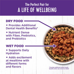 Wellness Complete Health minced tuna entree hydration-support signals moisture aid for cat hydration.
