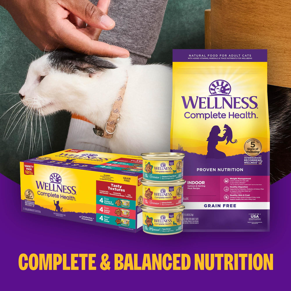 Wellness Complete Health minced tuna entree no-artificial-colors highlights clean ingredients and natural flavor appeal.