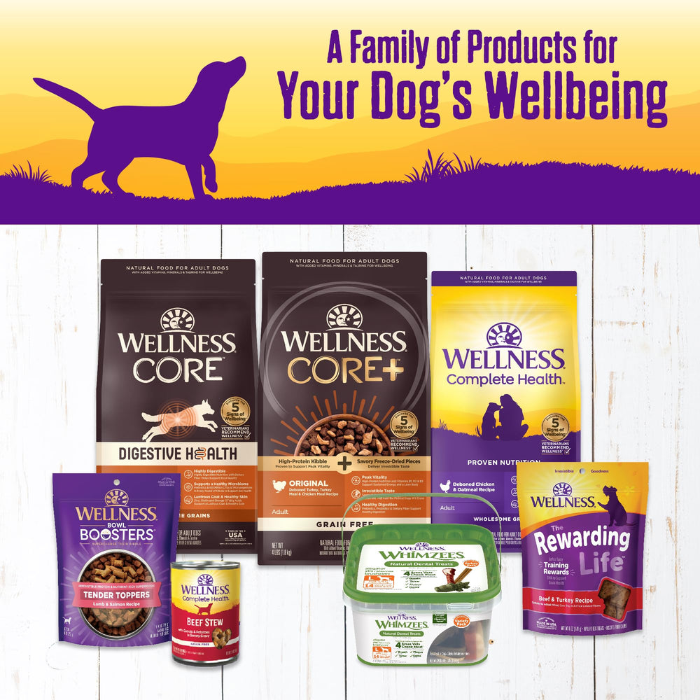 Wellness Complete Health omega fatty acids from salmon oil support a healthy coat