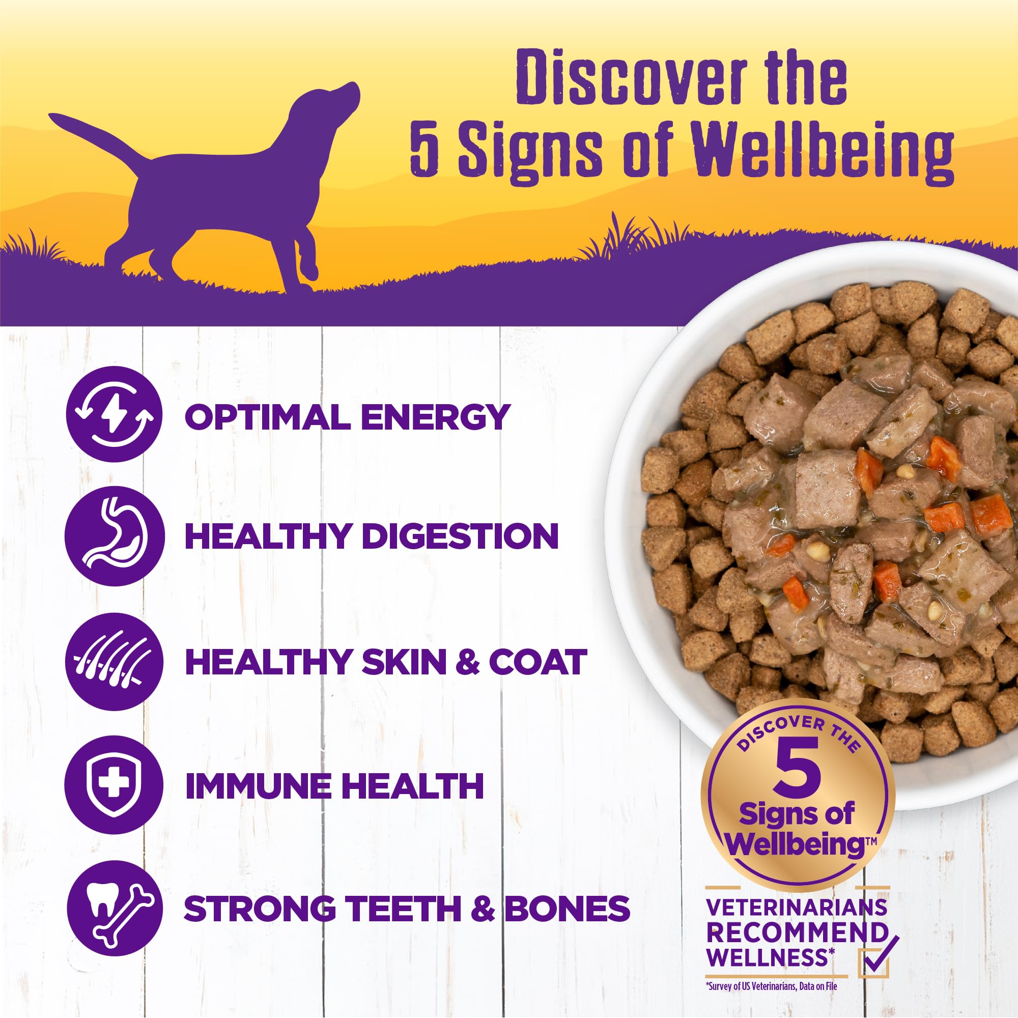 Wellness Complete Health thick chunky texture in a bowl with savory gravy