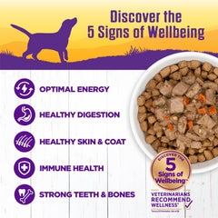 Wellness Complete Health thick chunky texture in a bowl with savory gravy