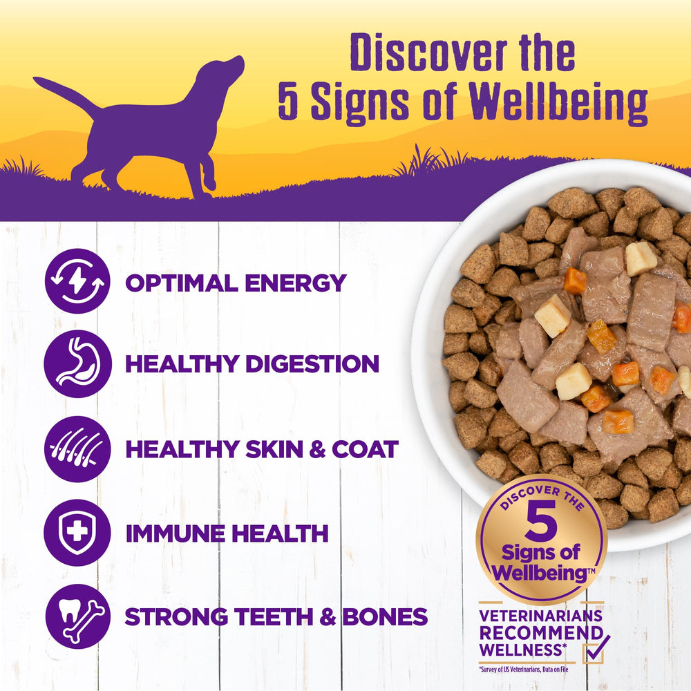 Wellness complete health wet dog food ingredients image emphasizes grain-free formula with vegetables.