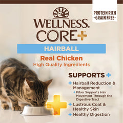 Wellness CORE+ dry cat food bowl showcases grain-free nutrition for indoor cats.