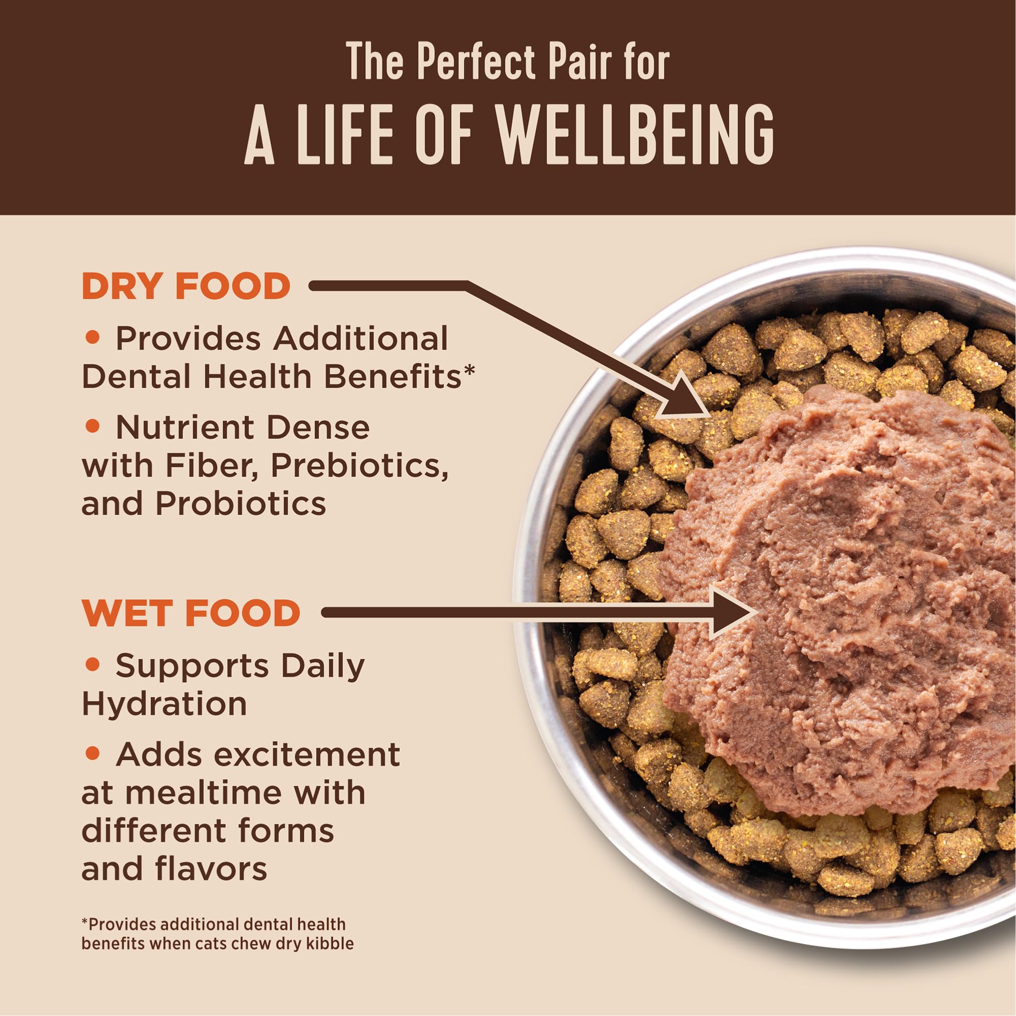 Wellness CORE+ grain-free chicken kibble on a dish shows protein-rich nutrition.