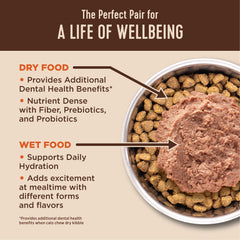 Wellness CORE+ grain-free chicken kibble on a dish shows protein-rich nutrition.