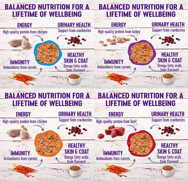 Wellness Natural cat pâté beef 5oz can tempts picky eaters with rich protein.