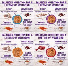 Wellness Natural cat pâté beef 5oz can tempts picky eaters with rich protein.