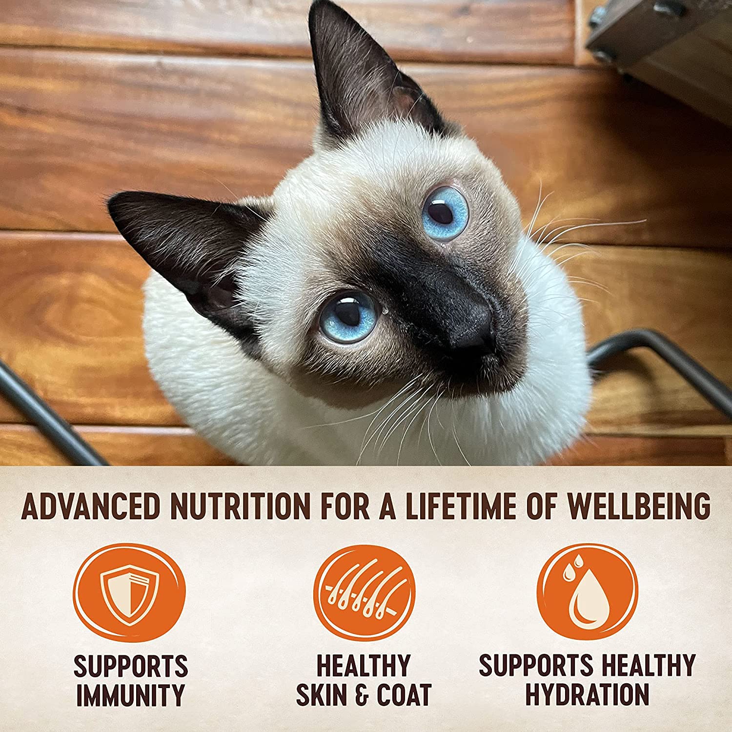 Wellness Natural cat pâté turkey 5oz can offers lean protein for balanced meals.
