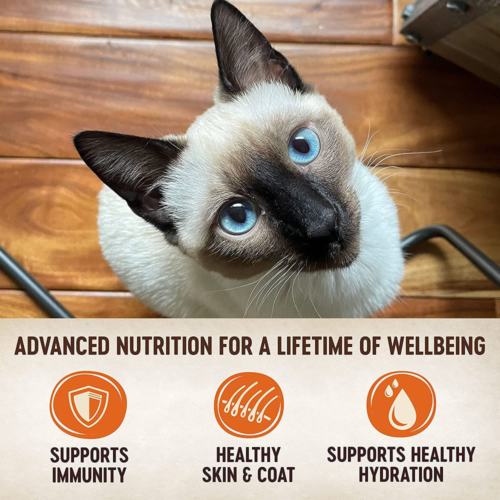 Wellness Natural cat pâté turkey 5oz can offers lean protein for balanced meals.