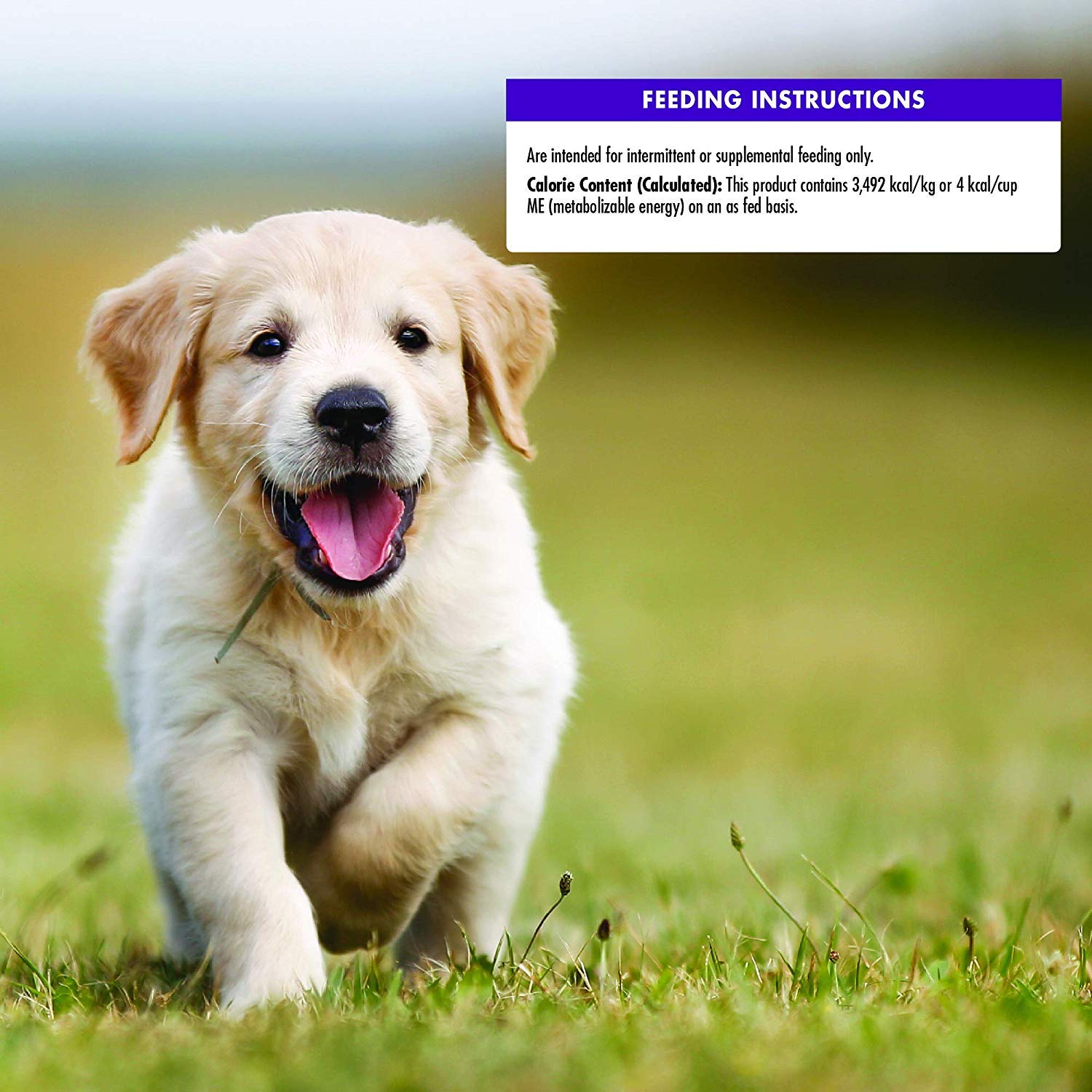 Wellness puppy-treats grain-free-formula bowl-scene communicates allergen-friendly option