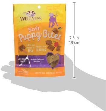 Wellness puppy-treats puppy-snack-session image captures bonding and training moments