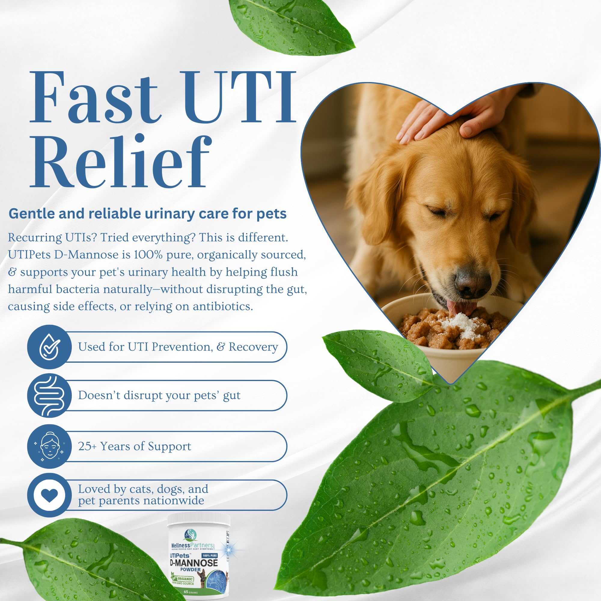 WellnessPartners UTI Pets D-Mannose packaging and jar on display