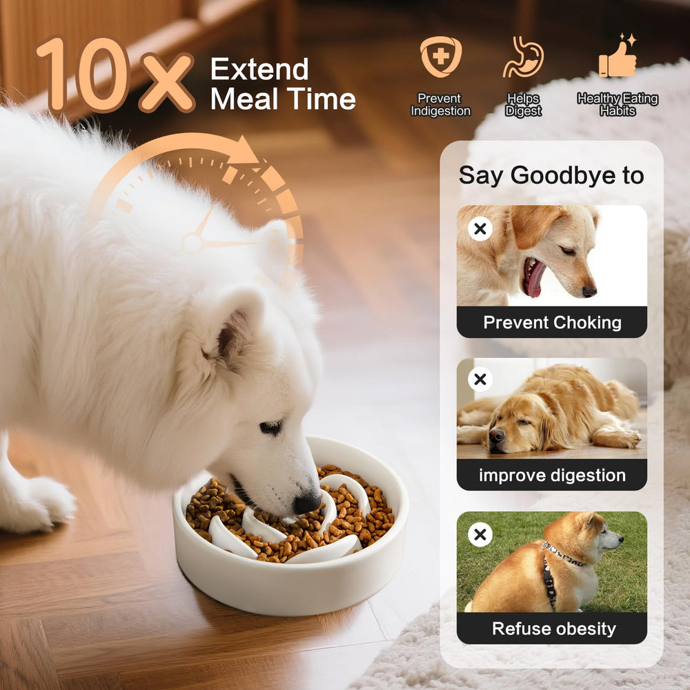 Welloyed anti-gulping puzzle maze bowl slows eating for small pets.