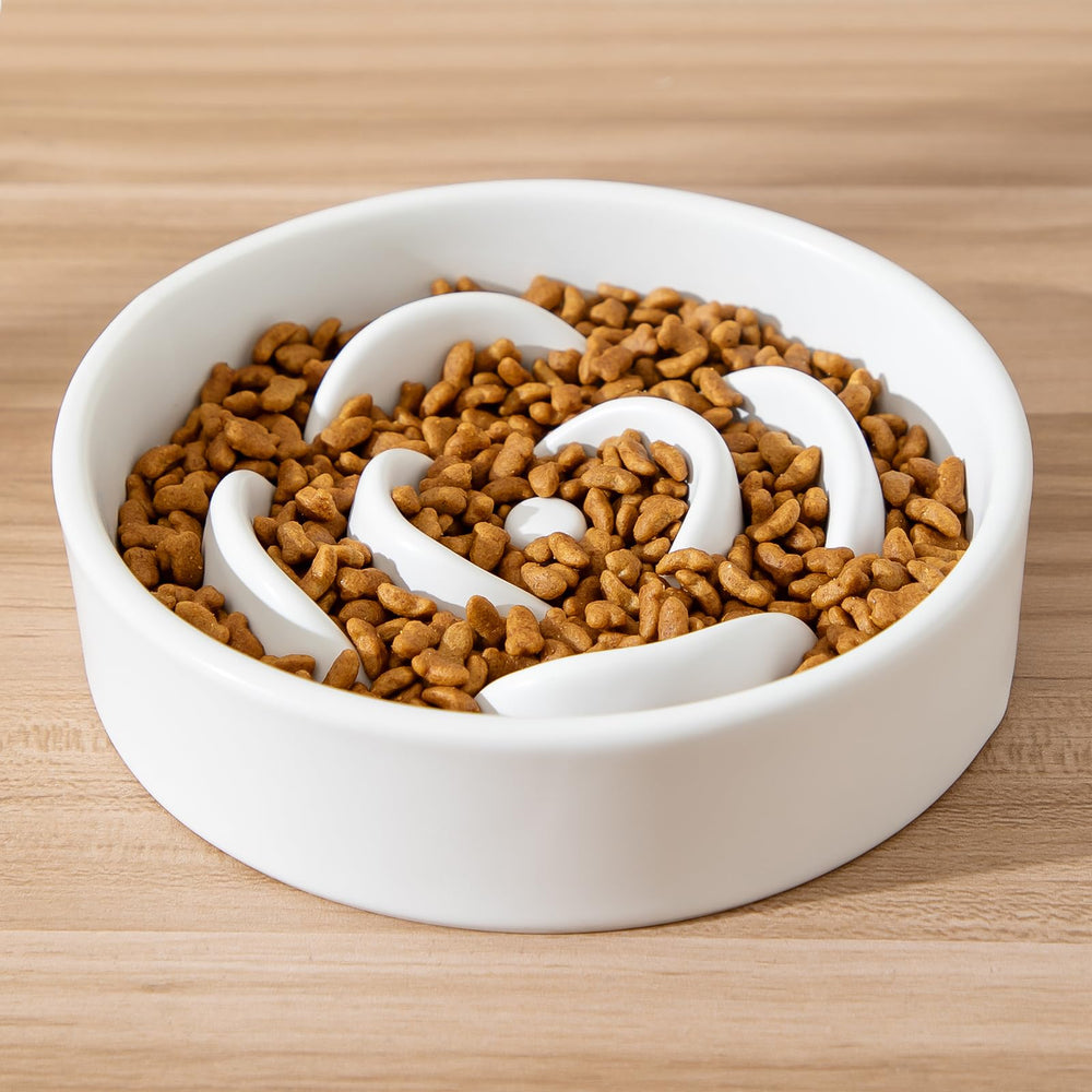 Welloyed 6-inch bowl suitable for cats and small dogs to manage portions.