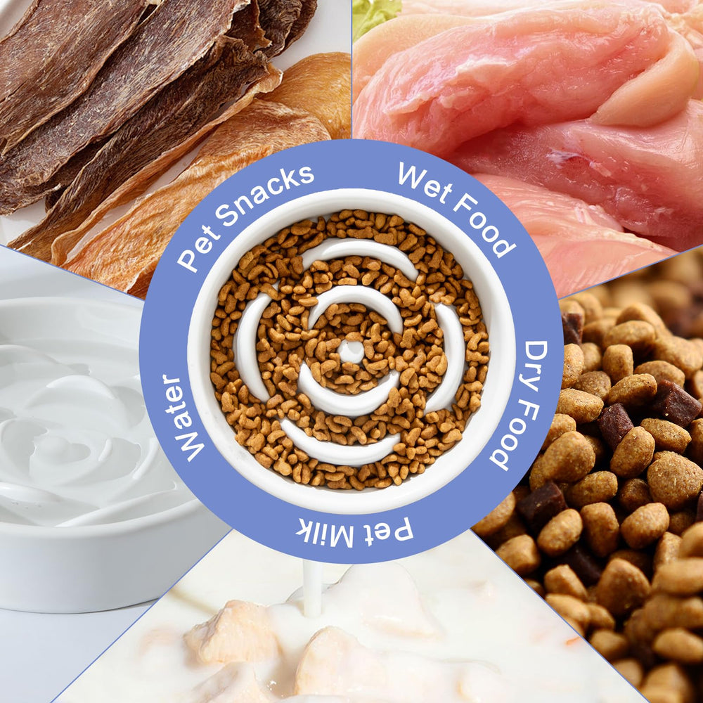 Welloyed dishwasher-safe ceramic bowl offers easy cleanup after meals.