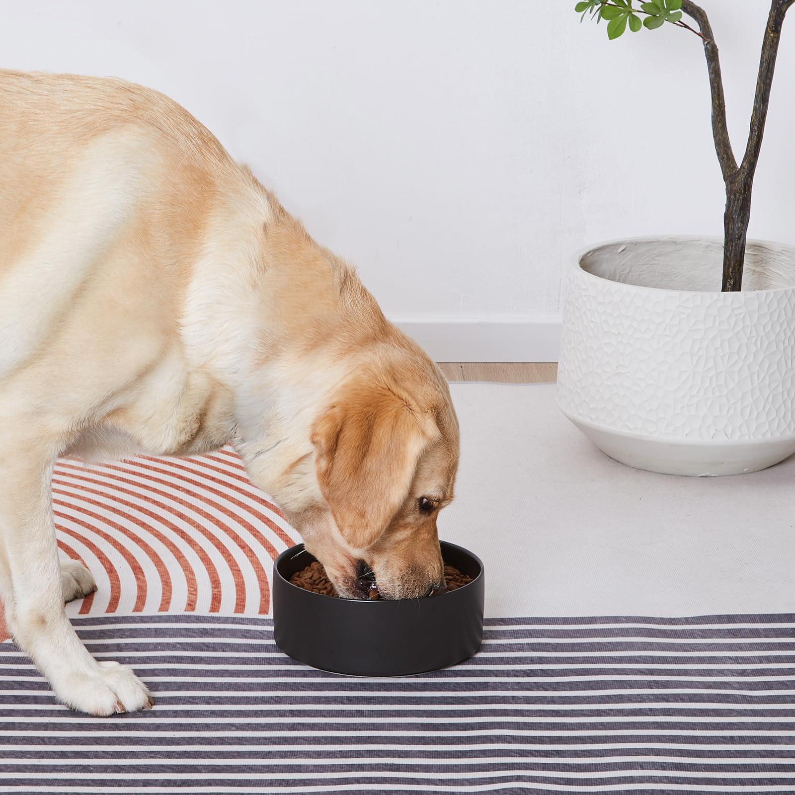 Welloyed dishwasher-safe ceramic dog bowl for quick cleaning after meals