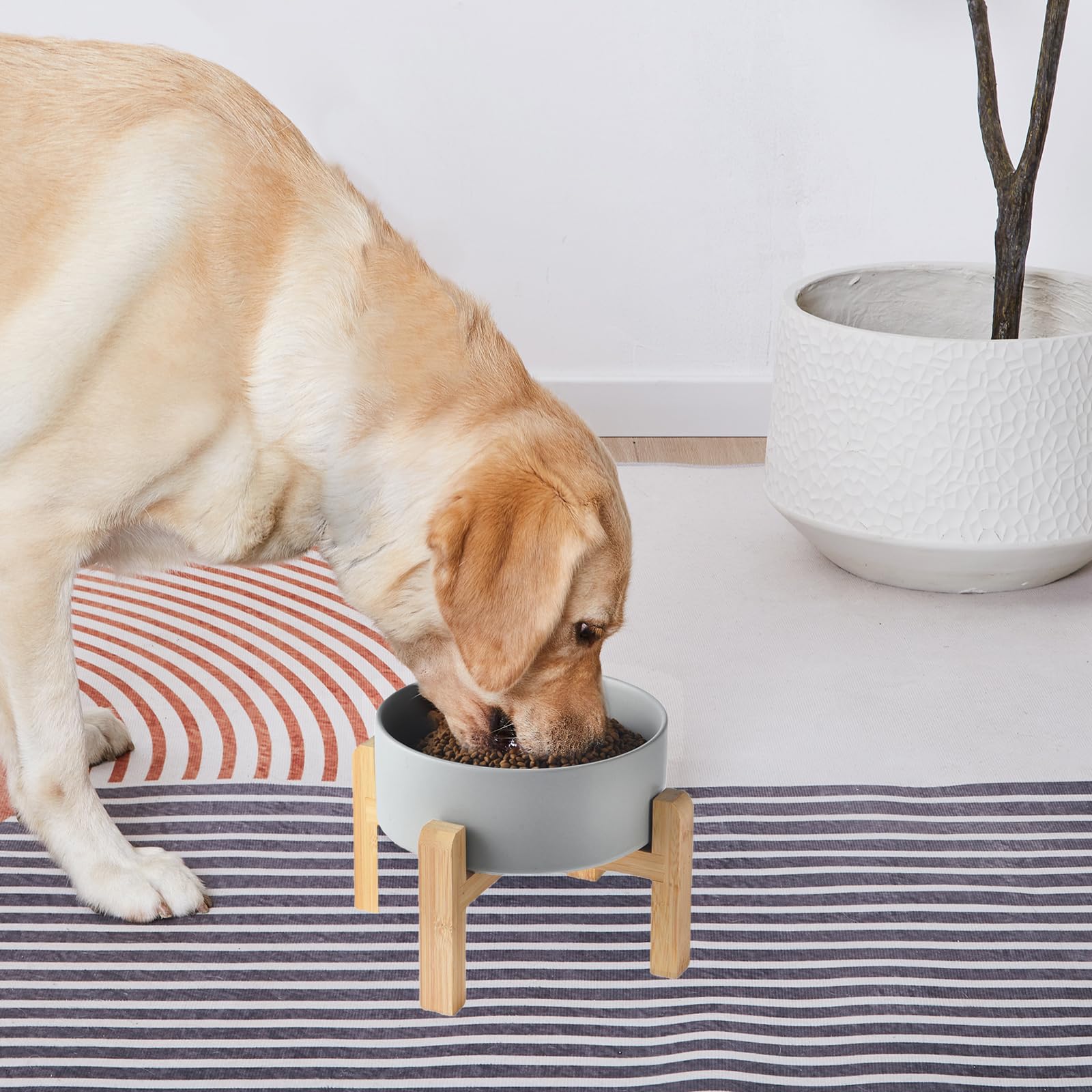 Welloyed heavy-duty dog bowl designed for durable daily use.