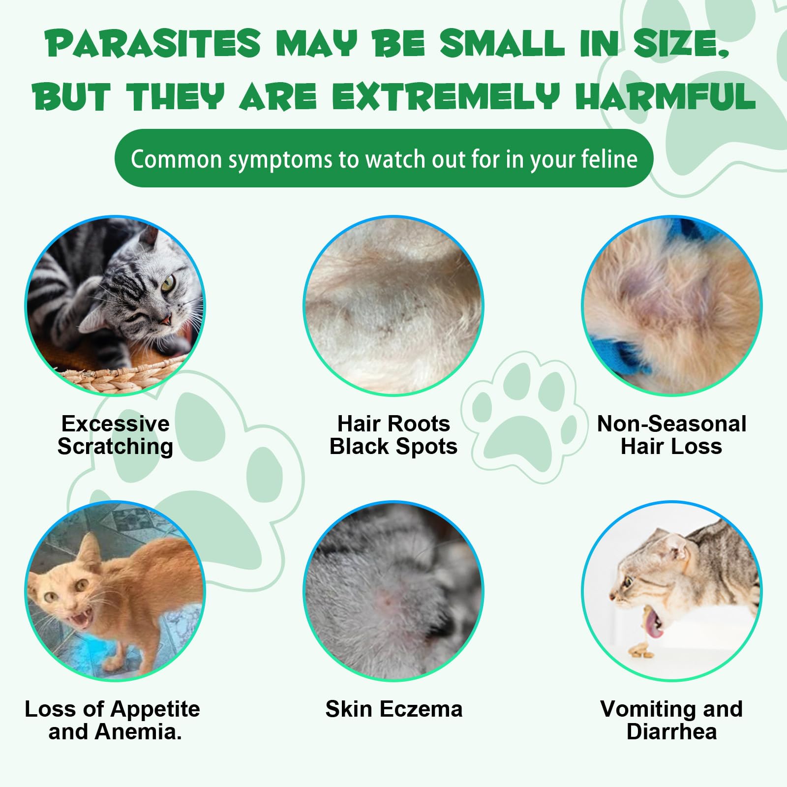 WELOSUER cat digestive-health visual highlights the herbal blend aiding gut balance