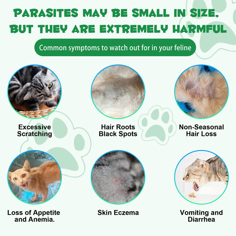 WELOSUER cat digestive-health visual highlights the herbal blend aiding gut balance