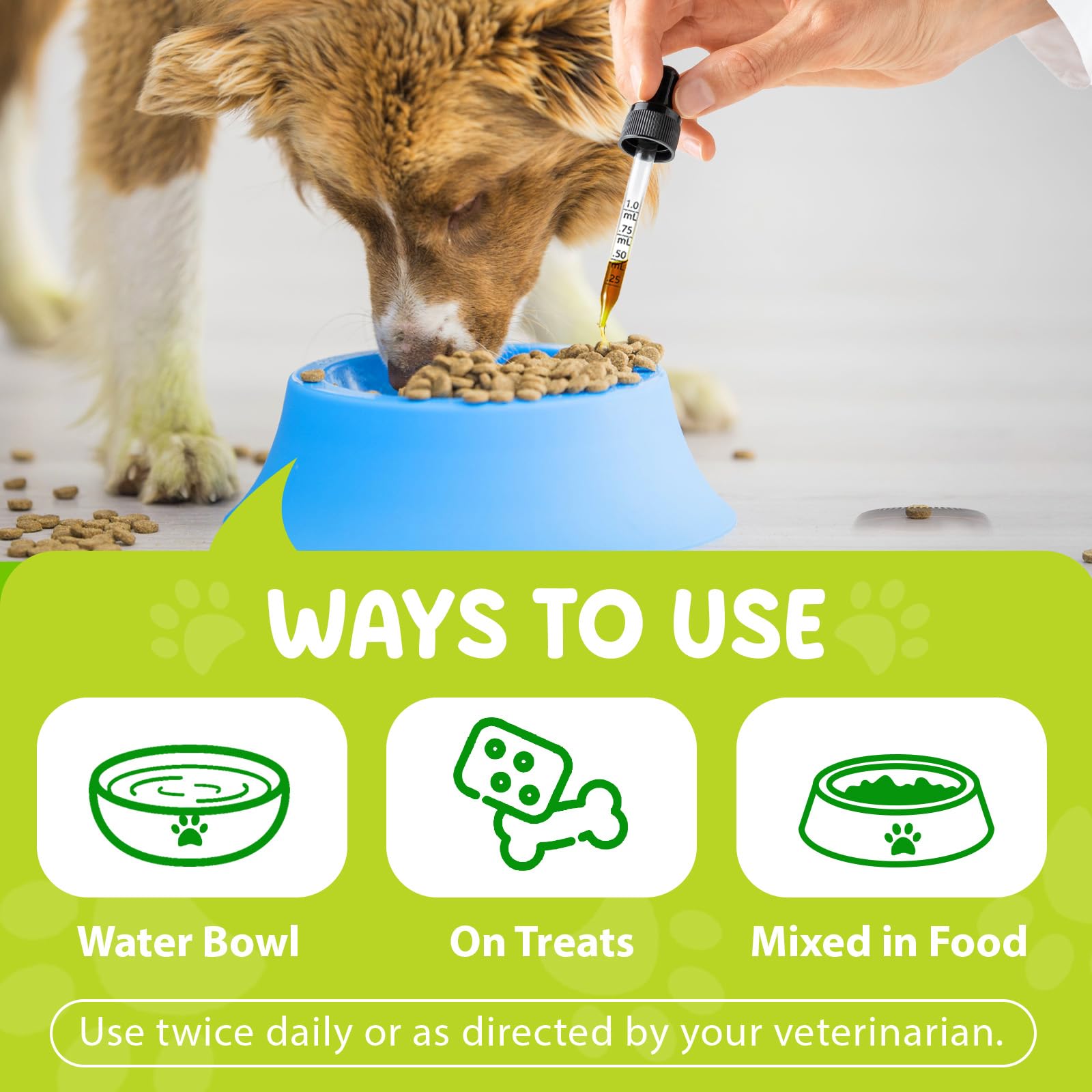 WELOSUER coat and skin health benefits indicate improved skin condition