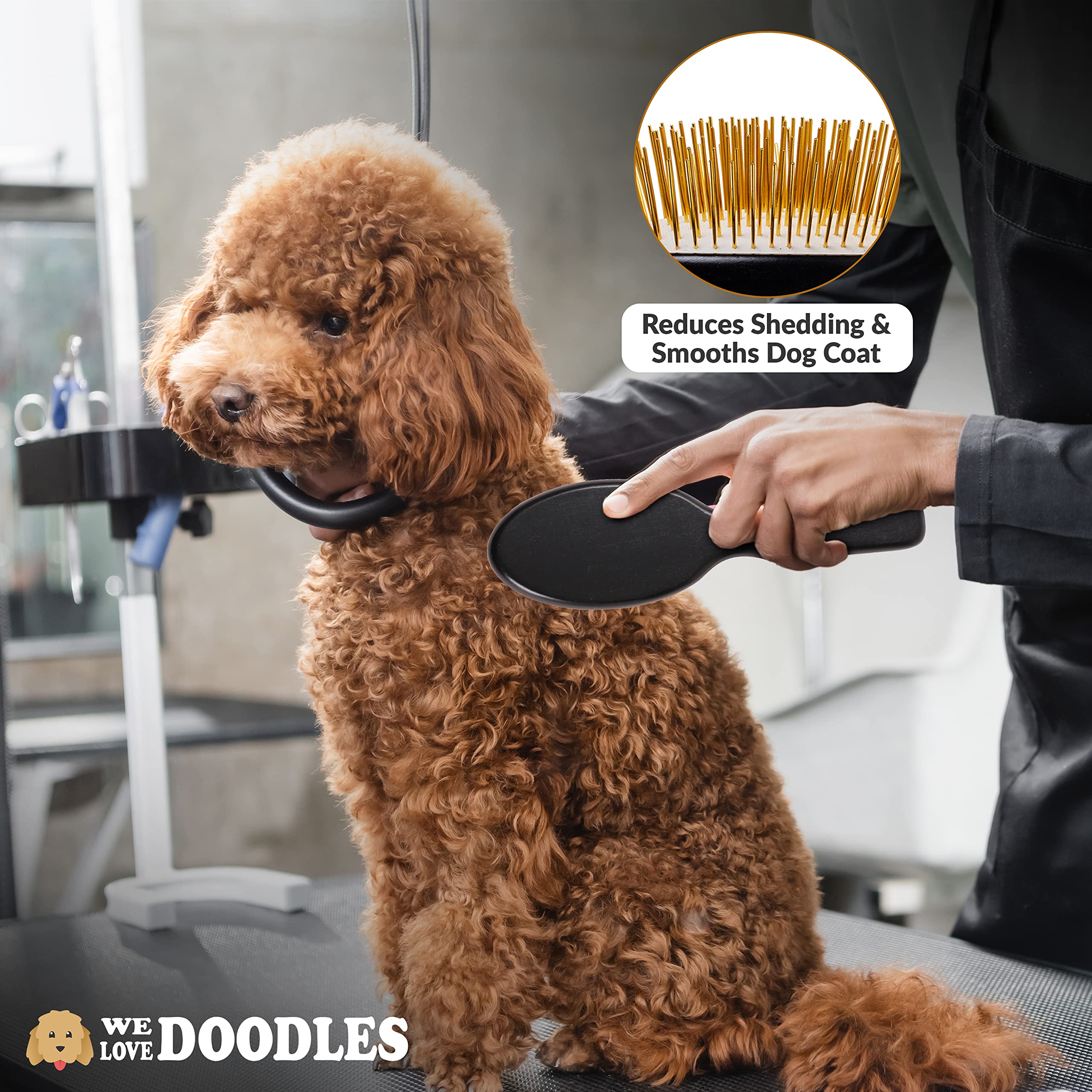 We Love Doodles pin brush on shedding dogs helps remove loose fur.